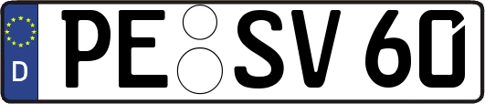 PE-SV60
