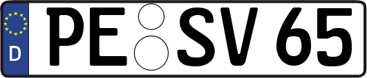PE-SV65