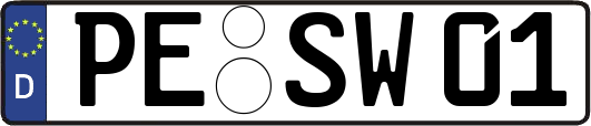 PE-SW01