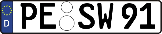 PE-SW91