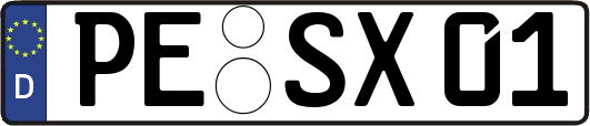 PE-SX01