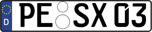 PE-SX03