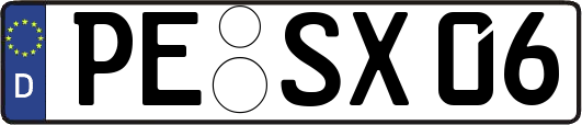 PE-SX06