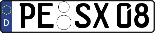 PE-SX08