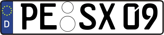 PE-SX09