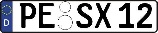 PE-SX12