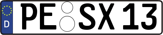 PE-SX13