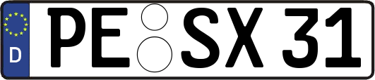 PE-SX31