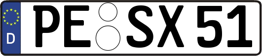 PE-SX51