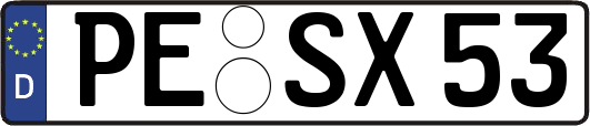 PE-SX53