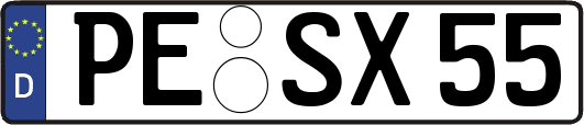 PE-SX55