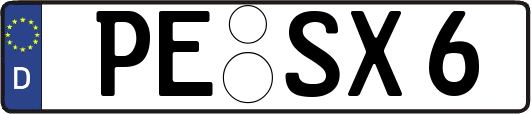 PE-SX6