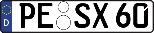 PE-SX60