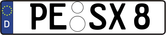 PE-SX8