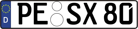PE-SX80