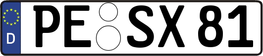 PE-SX81