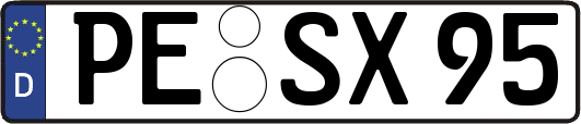 PE-SX95