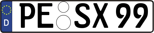 PE-SX99