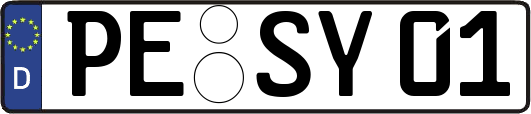 PE-SY01