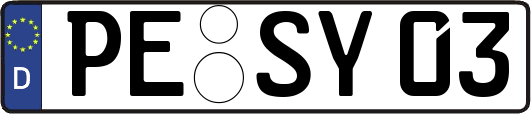 PE-SY03
