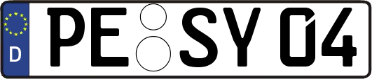 PE-SY04