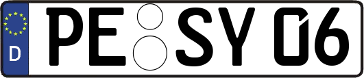PE-SY06