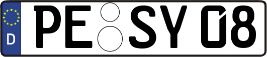 PE-SY08