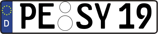 PE-SY19