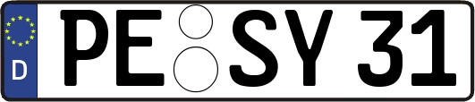PE-SY31
