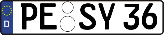 PE-SY36