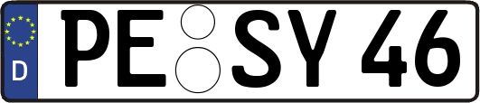 PE-SY46