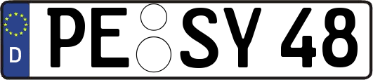 PE-SY48