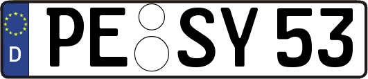 PE-SY53
