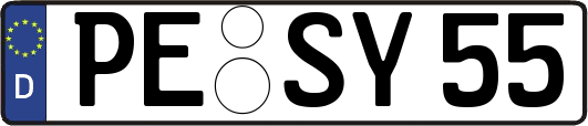 PE-SY55