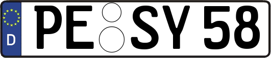 PE-SY58