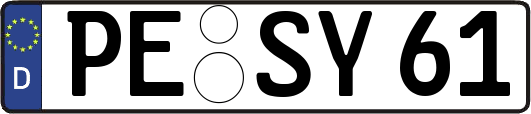PE-SY61