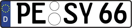 PE-SY66
