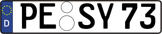 PE-SY73