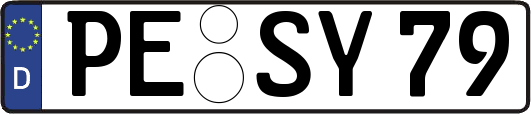 PE-SY79