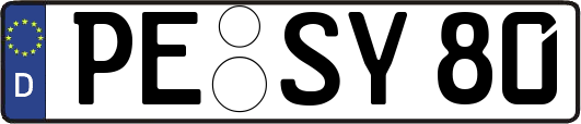 PE-SY80