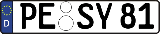 PE-SY81