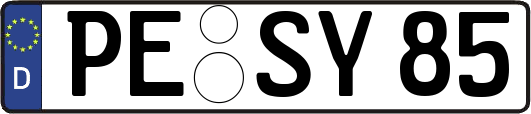 PE-SY85