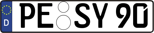 PE-SY90