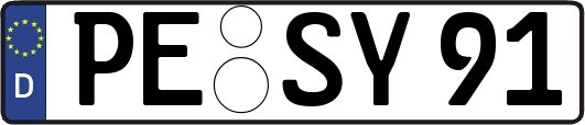 PE-SY91