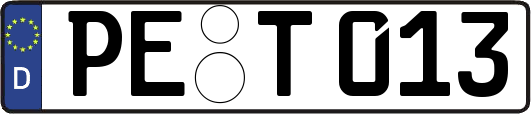 PE-T013