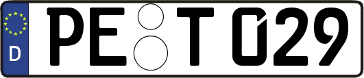 PE-T029