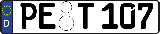 PE-T107