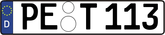 PE-T113