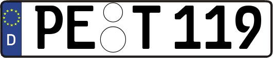 PE-T119