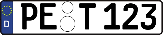 PE-T123